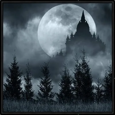 Заколдованный замок