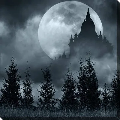 Заколдованный замок