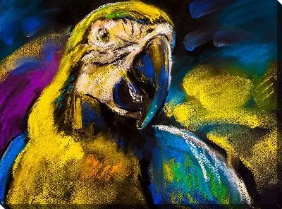 Картина маслом Попугай №2