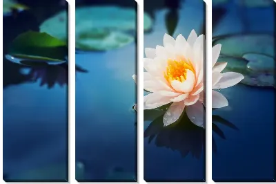 Модульная картина Лотос №14