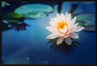 Картина Лотос №14