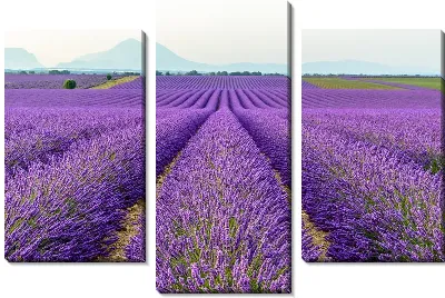 Модульная картина Большое поле