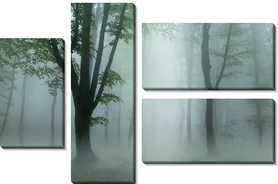 Туманный лес №2