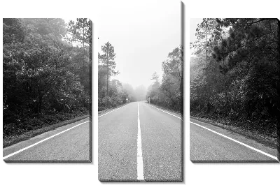 Модульная картина Две полосы