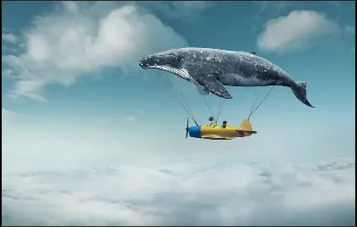 картина