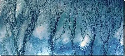 Картина маслом Ветви деревьев