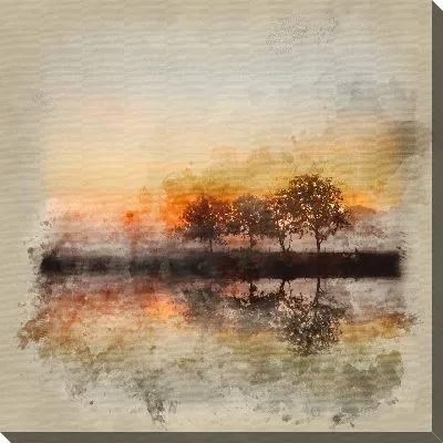 Уголок природы