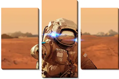 Модульная картина Космонавт №2