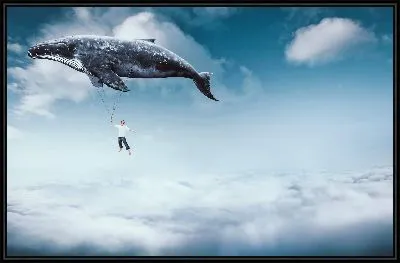 Картина Плыву над облаками