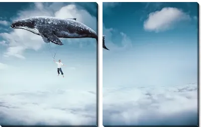 Плыву над облаками