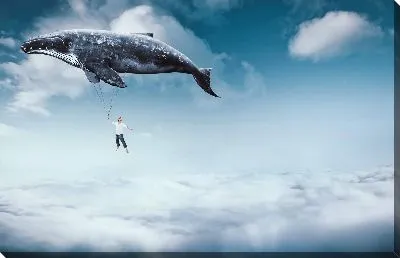 Плыву над облаками