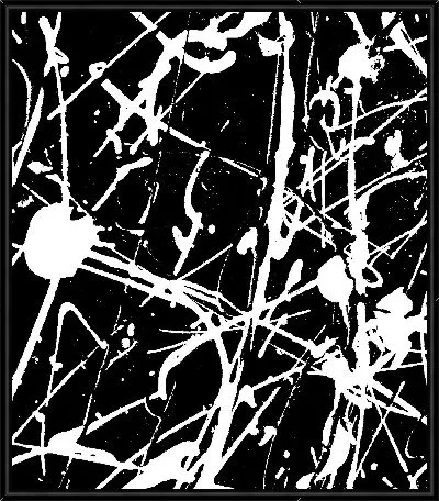 Картина Черно-белая краска №2