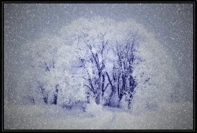 Картина Деревья в снегу №2