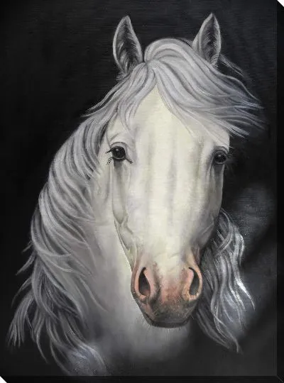 Картина маслом Белая лошадь №8