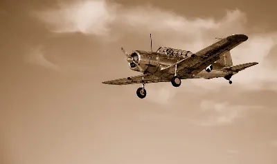 шаблон id 38