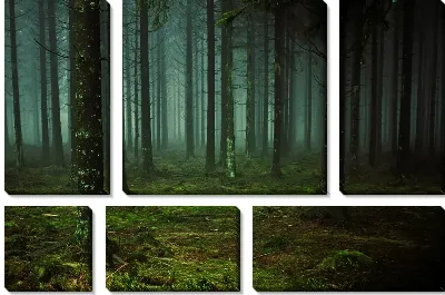 Модульная картина Темный лес