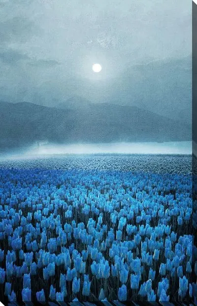 Постер Поле голубых тюльпанов под Луной