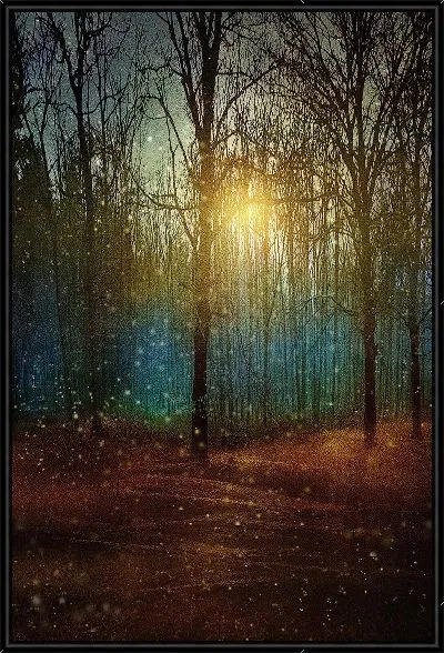 Картина Ночной лес