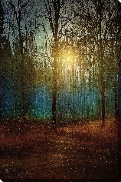 Постер Ночной лес