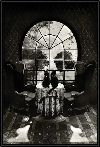 Картина Иллюзия черепа с кошками