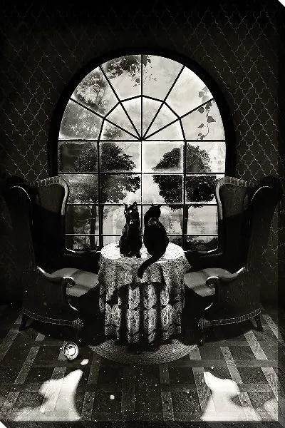 Постер Иллюзия черепа с кошками