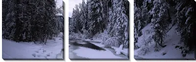 Модульная картина Река в лесу зимой
