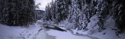 Плакат Река в лесу зимой