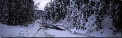 Постер Река в лесу зимой