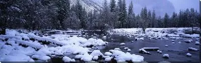 Постер Река в лесу зимой №2