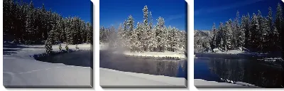 Модульная картина Река в лесу зимой №3