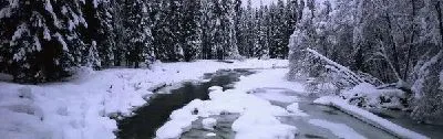 Плакат Река в лесу зимой №4