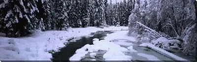 Постер Река в лесу зимой №4
