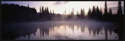 Картина Озеро в лесу