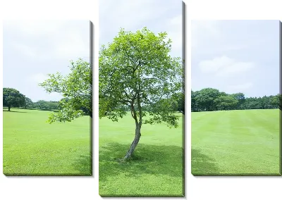 картина