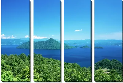 картина
