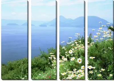 Модульная картина Ромашки у озера