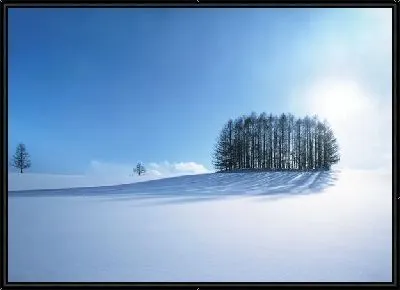 Картина Деревья в снегу