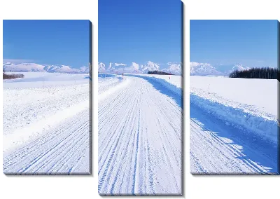 Модульная картина Зимняя дорога