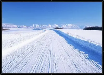 Картина Зимняя дорога