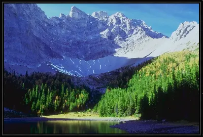 картина