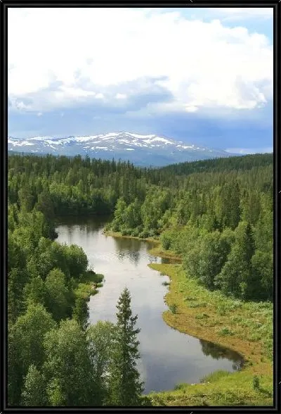 Картина Река в лесу