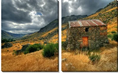 картина