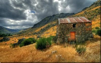 картина