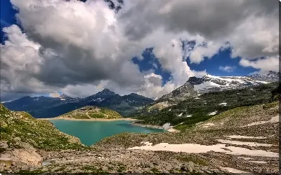 картина