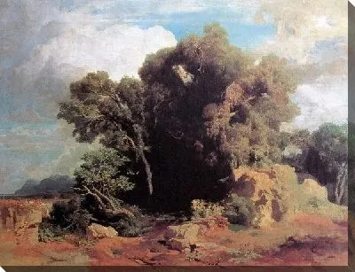 Понтийские болота (In den pontinischen Sumpfen)