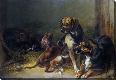 Картина Собаки (Dogs and Whelps)