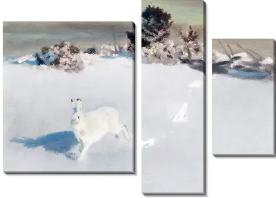 Заяц зимой (Hare in winter)