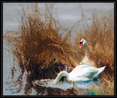 Картина Лебеди на берегу (Swans on shore0