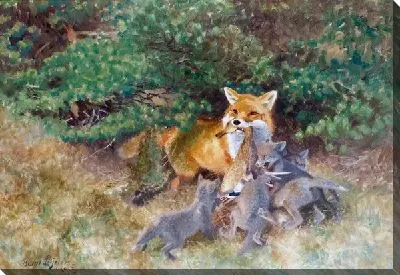 Лиса с лисятами (A fox with cubs)
