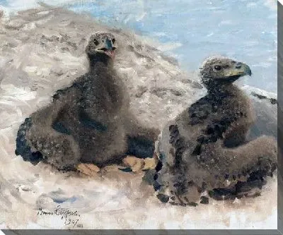 Картина Птицы (Birds)